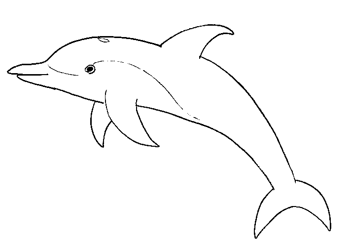 Kolorowanka delfin biały, długi i chudy od boku