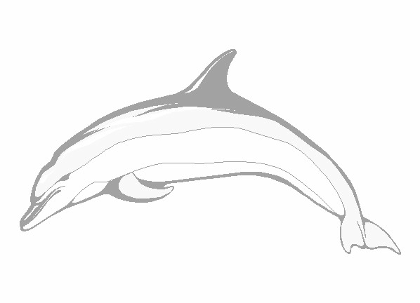 Kolorowanka delfin bokiem płynie w dól