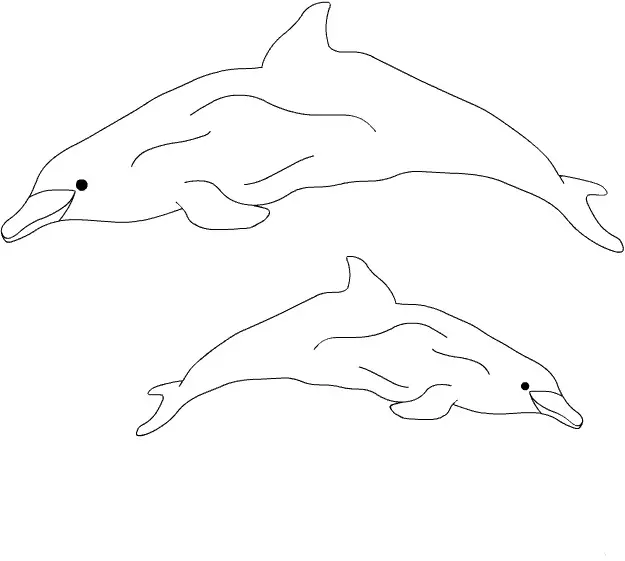 Kolorowanka delfin duży i stary, pomarszczony z drugim małym delfinem