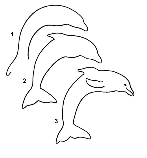 Kolorowanka delfin - malowanie krok po kroku - jak narysować delfina