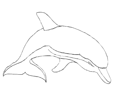 Kolorowanka delfin płynie przodem z głową w dół