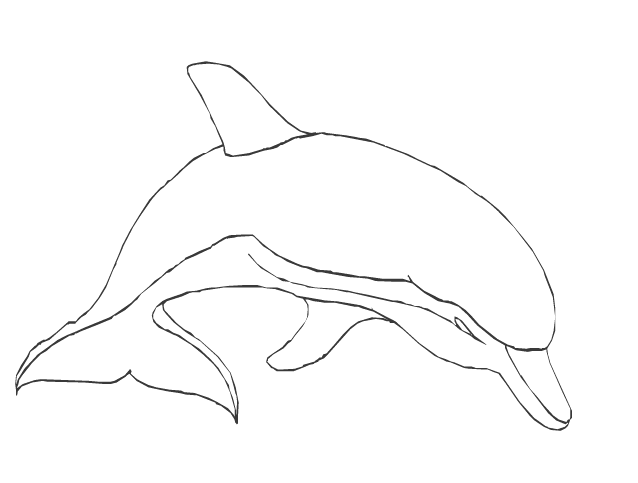 Kolorowanka delfin płynie przodem z głową w dół