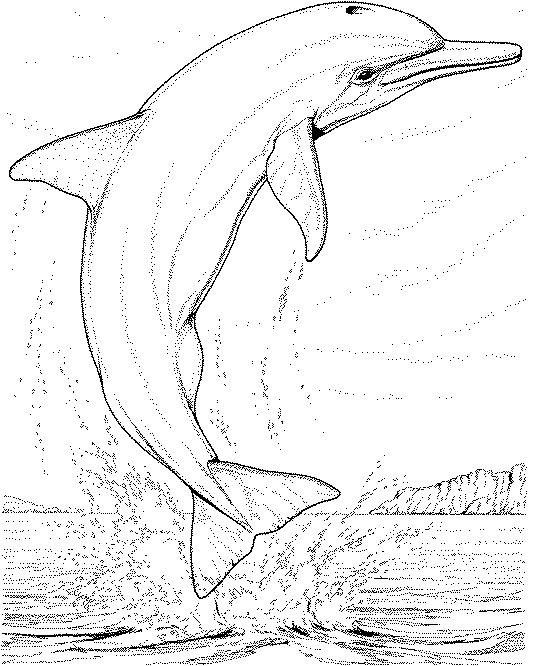 Kolorowanka delfin wyskakuje z wody przy wybrzeżu