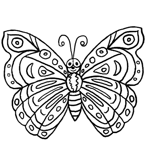 Kolorowanka duży motyl wiele wzorów na skrzydłach