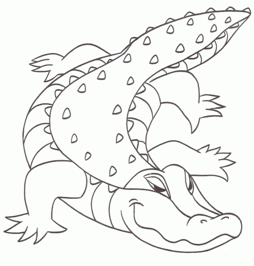 Kolorowanka krokodyl duży dorosły