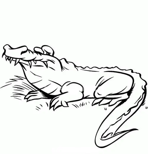 Kolorowanka krokodyl siedzi zadowolony z zamkniętymi oczami