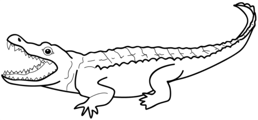 Kolorowanka krokodyl stoi bokiem z otwartą paszczą