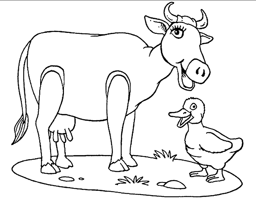 Kolorowanka krowa stoi z kaczką w wodzie