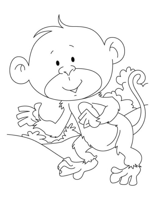 Kolorowanka małpa - małpka dziecko