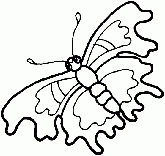 Kolorowanka motyl z rozpływającymi się skrzydłami