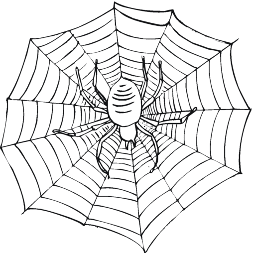 Kolorowanka pająk na środku dużej pajęczyny
