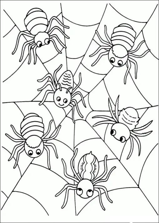Kolorowanka pająk sześć pająków obok siebie na pajęczynie
