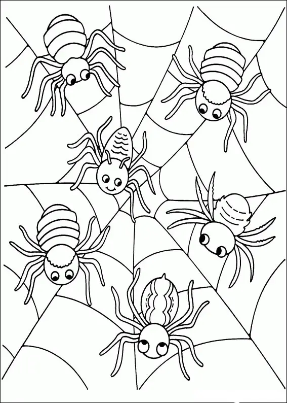 Kolorowanka pająk sześć pająków obok siebie na pajęczynie