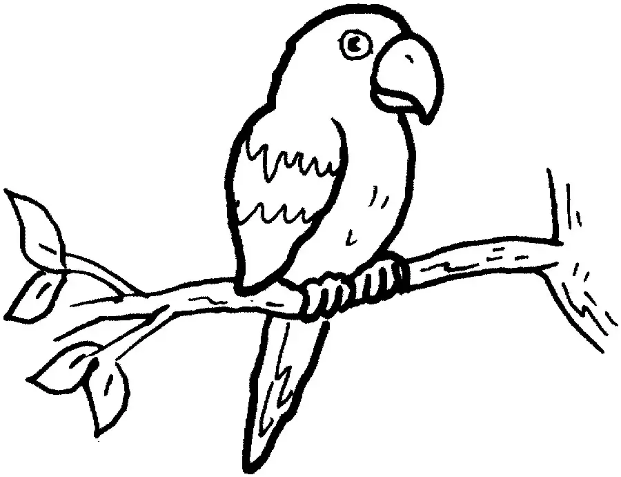 Kolorowanka papuga siedzi na gałązce drzewa