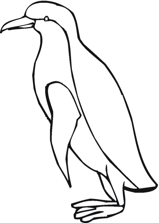 Kolorowanka pingwin długi i chudy stoi bokiem