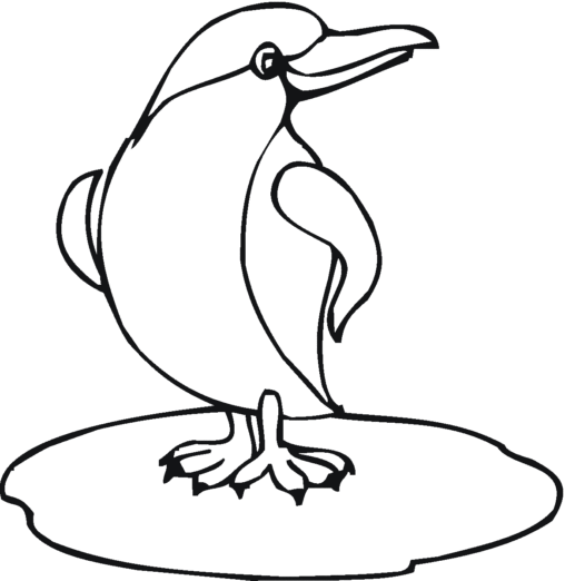 Kolorowanka pingwin stoi dumny w kałuży