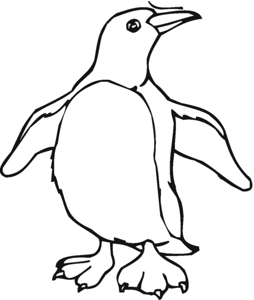 Kolorowanka pingwin z bardzo dużym torsem wypina pierś