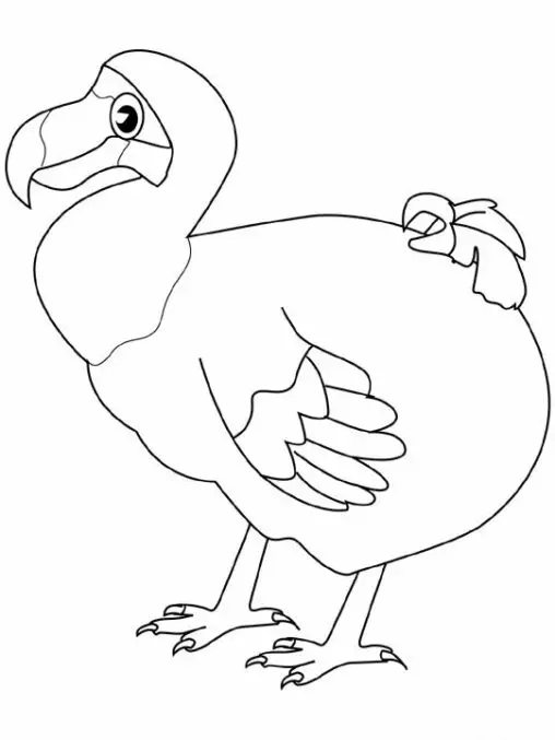 Kolorowanka ptak dodo stoi gruby
