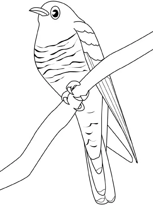 Kolorowanka ptak - ptaszek siedzi na gałązce zdziwiony