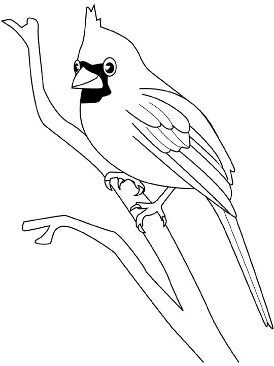 Kolorowanka ptak siedzi na gałęzi z czarną głową i długim ogonem