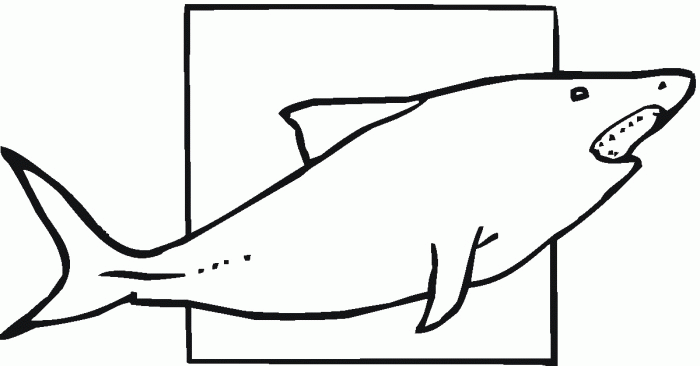 Kolorowanka rekin duży większy od kwadratu bokiem