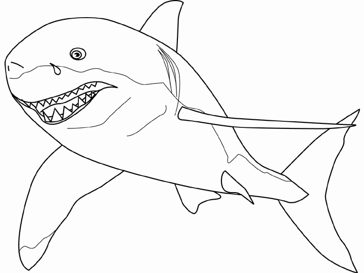 Kolorowanka rekin płynie bokiem szczerząc zęby