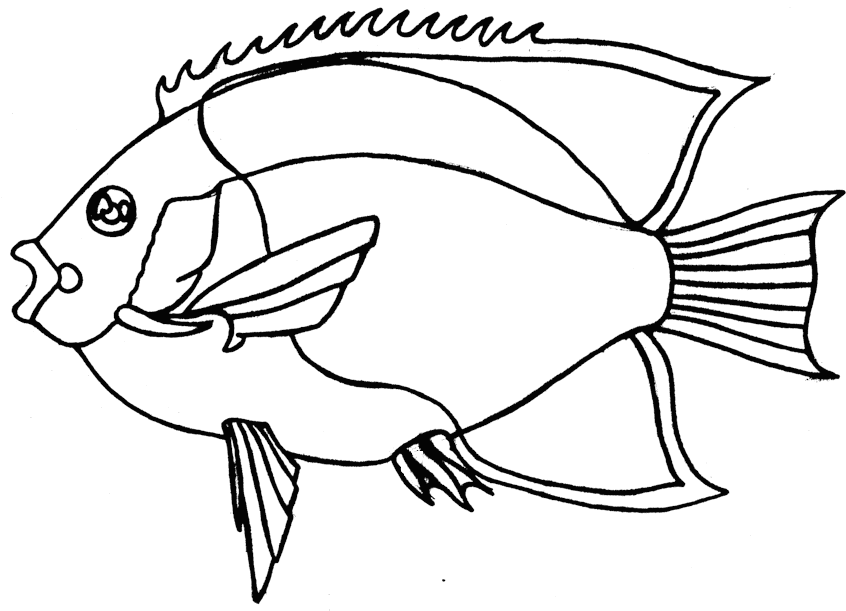 Kolorowanka ryba - dużo detali - z czarnymi oczami i dużymi skrzelami