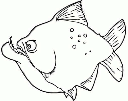 Kolorowanka ryby - ryba z dużą dolną szczęką i wystającymi zębami płynie w lewo z groźną miną