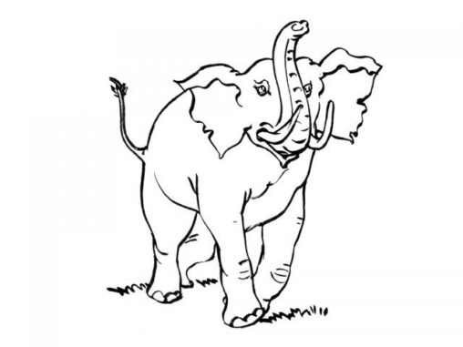 Kolorowanka słoń idzie z trąbą podniesioną i uwydatnionymi kłami