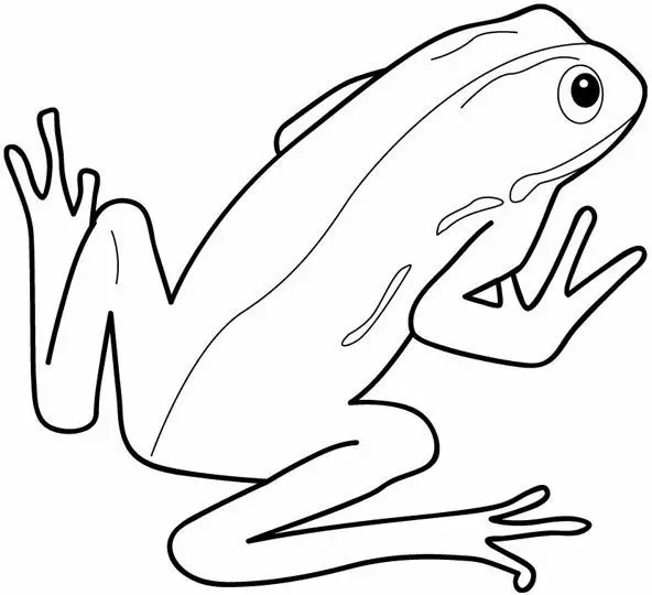 Kolorowanka żaba chuda i bez kropek na plecach