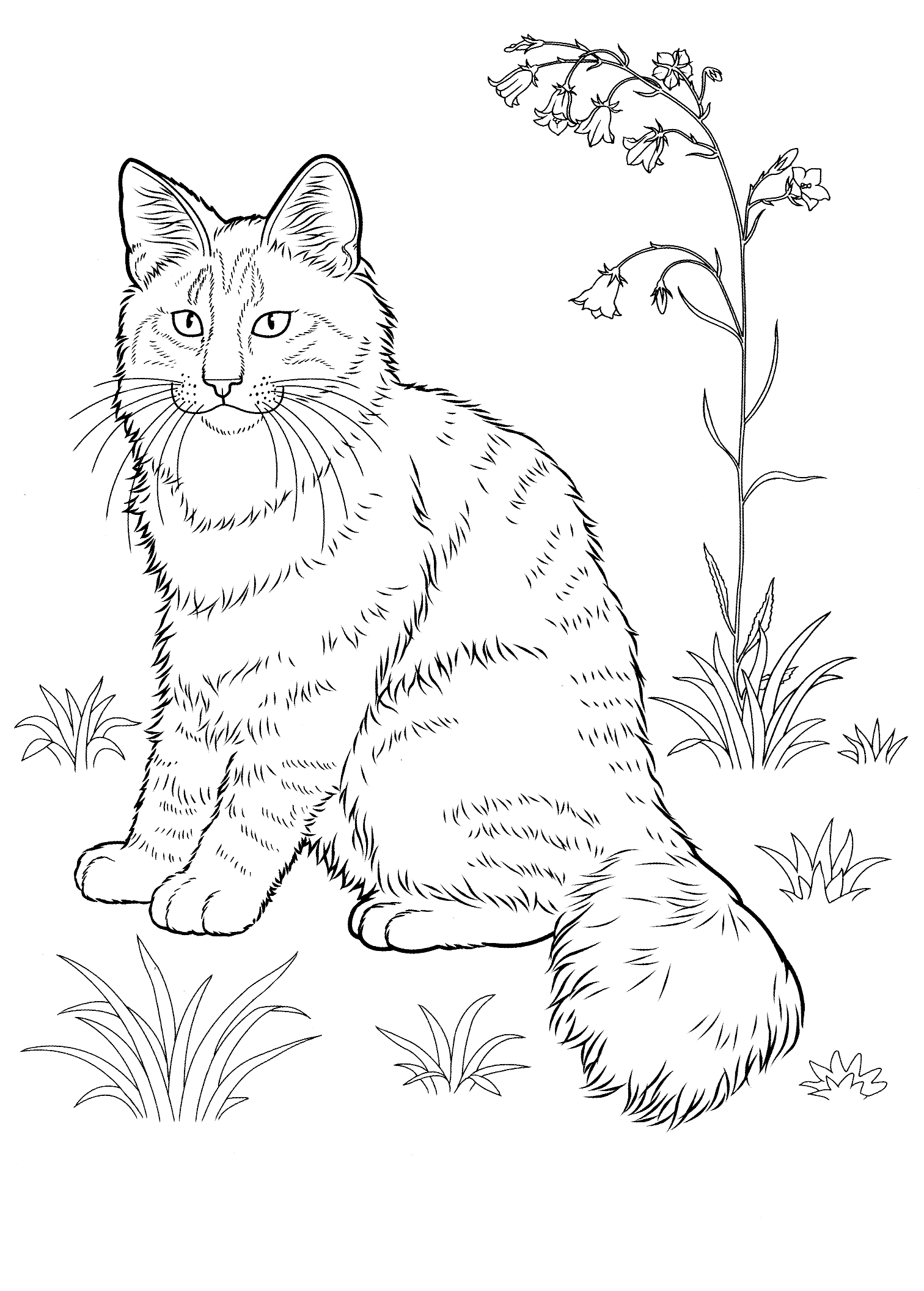 Kolorowanka kot bardzo napuszony siedzi na trawie obok dużego rozgałęzionego kwiatka