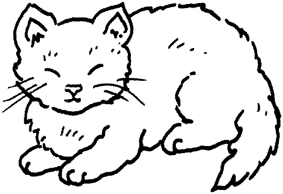 Kolorowanka kot bardzo puszysty i młody śpi unosząc uszy