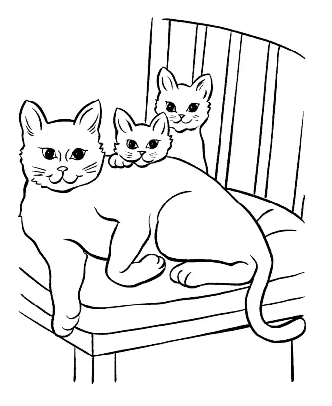 Kolorowanka kot dorosły leży na krześle wraz z dwoma małymi kotkami