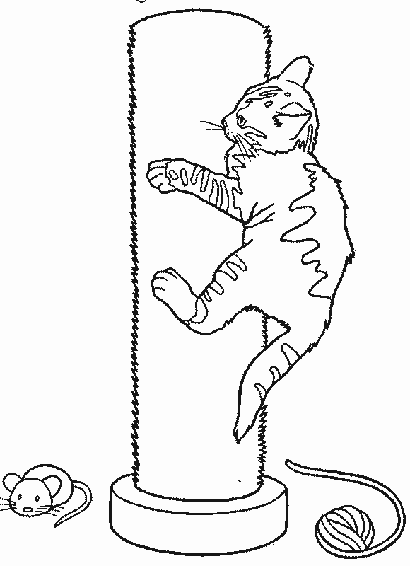 Kolorowanka kot malutki w cętki wchodzi da duży drapak obok kłębka i myszki