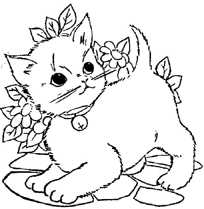 Kolorowanka kot mały i puchaty spogląda się w górę z dzwoneczkiem na szyi stojąc przy kwiatach na bruku