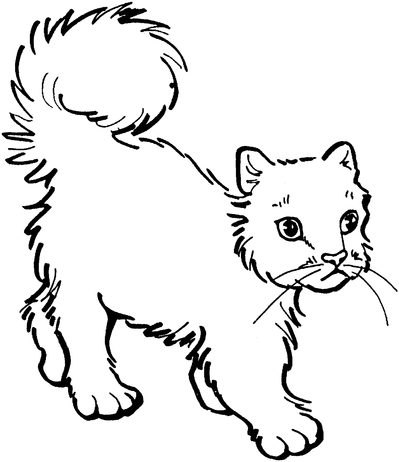Kolorowanka kot mały kotek przestraszony puszy sierść i unosi ogon