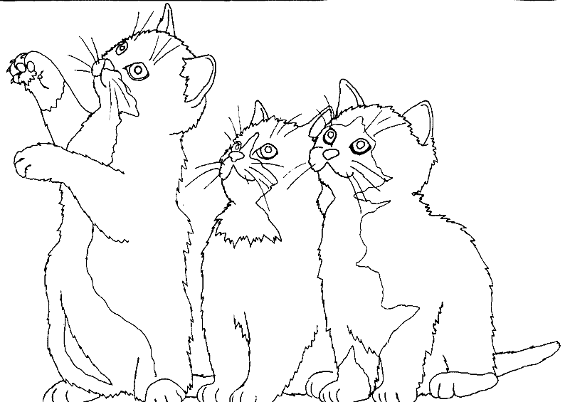 Kolorowanka kot podnosi łapki stojąc obok dwóch małych kłotków
