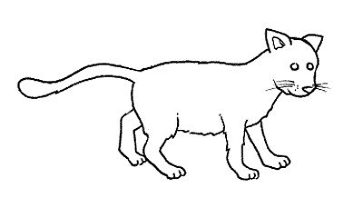 Kolorowanka kot prosty do pokolorowania z długim ogonem