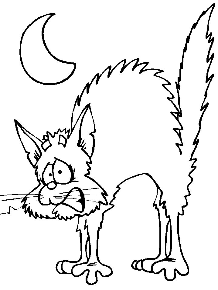 Kolorowanka kot przerażony szczęka zębami i jeży sierść w świetle Księżyca