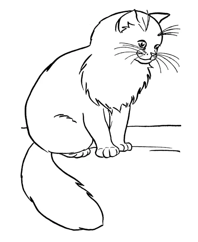 Kolorowanka kot puszysty i zadbany siedzi z rozwiniętym długim ogonem i wąsami