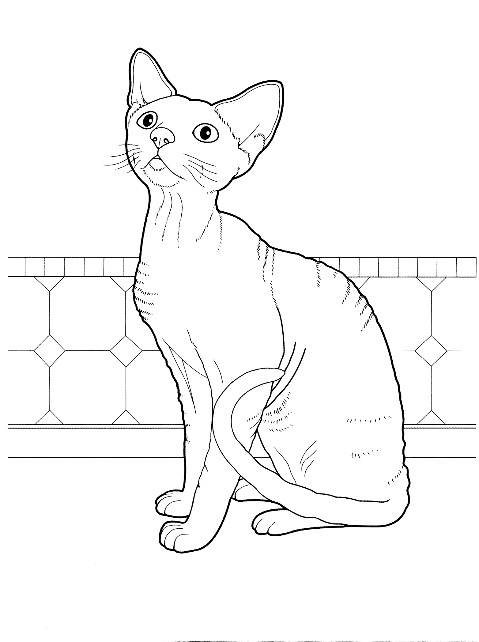 Kolorowanka kot sfinks siedzi przy ścianie z kafelkami ozdobnymi i się patrzy do góry