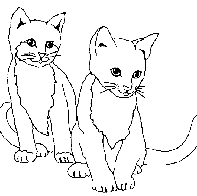 Kolorowanka kot siedzi grzecznie obok drugiego kotka z krótkimi wąsami