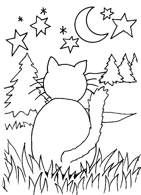 Kolorowanka kot siedzi na trawie przed lasem iglastym i patrzy się na duże gwiazdy i Księżyc