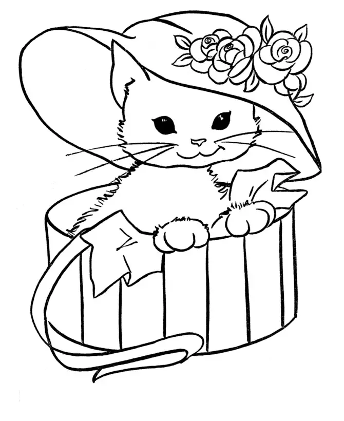 Kolorowanka kot siedzi w ozdobnym pudełku po prezencie z dużym kapeluszem na głowie z kwiatkami