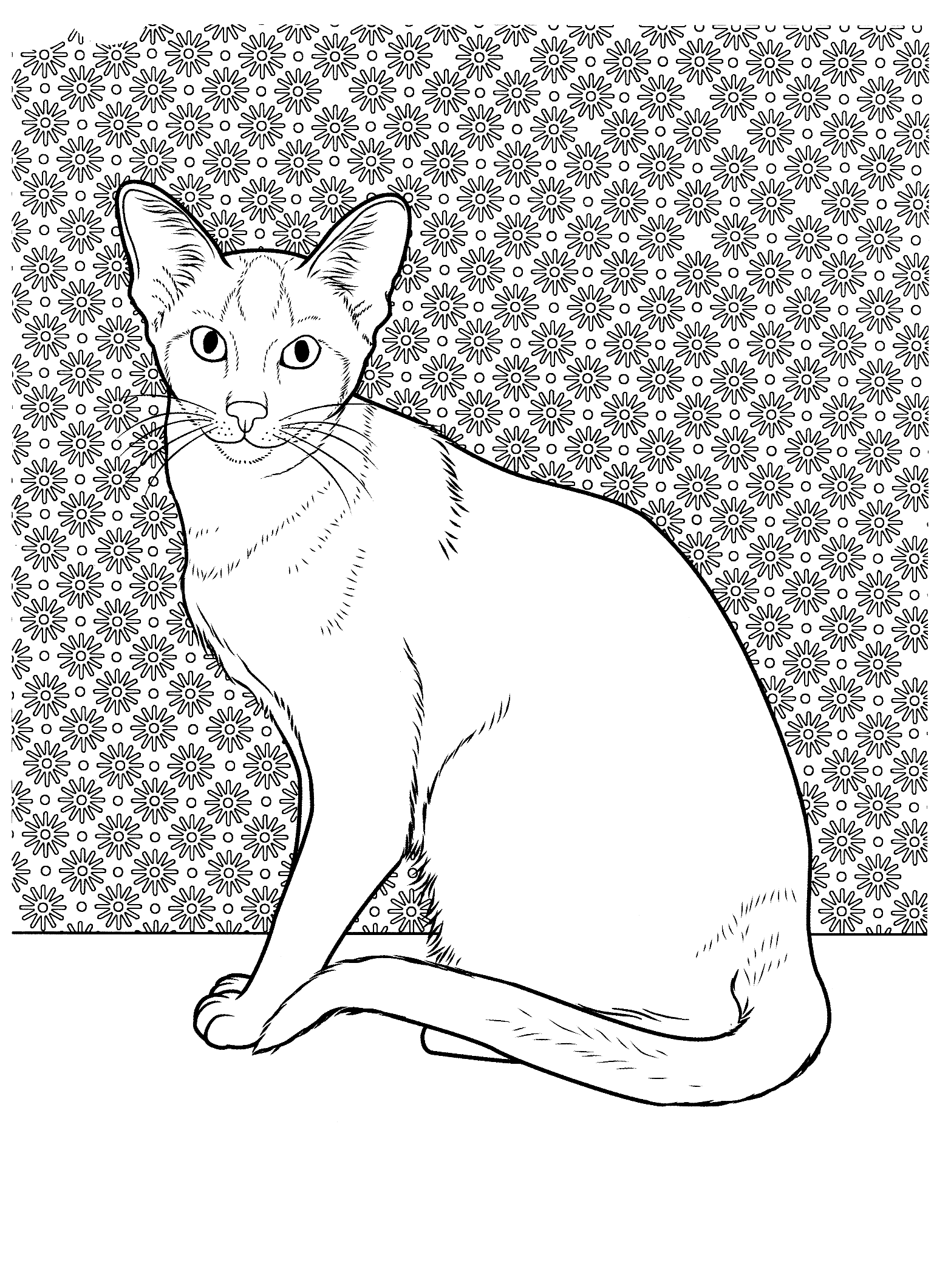 Kolorowanka kot siedzi z dużymi uszami przy ścianie z tapetą w kwiatki i kropki