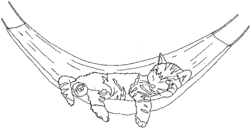 Kolorowanka kot śpi na hamaku wystawiając łapy za materiał