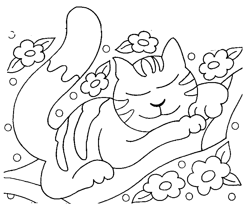 Kolorowanka kot śpi smacznie na trawie wśród kwiatków