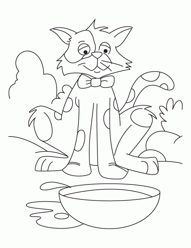 Kolorowanka kot stary z łatami i kokardką na szyi siedzi na podwórku i patrzy się na miskę z wodą