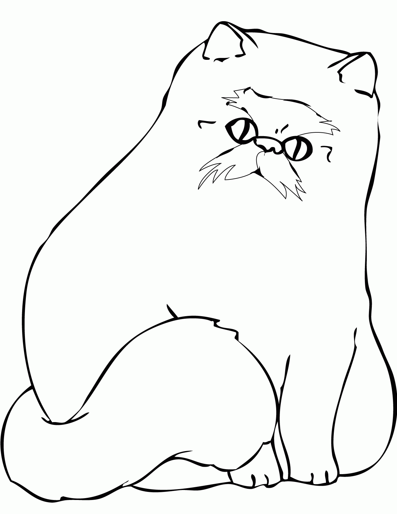 Kolorowanka kot stary z wąsami i bardzo puszysty siedzi i się patrzy