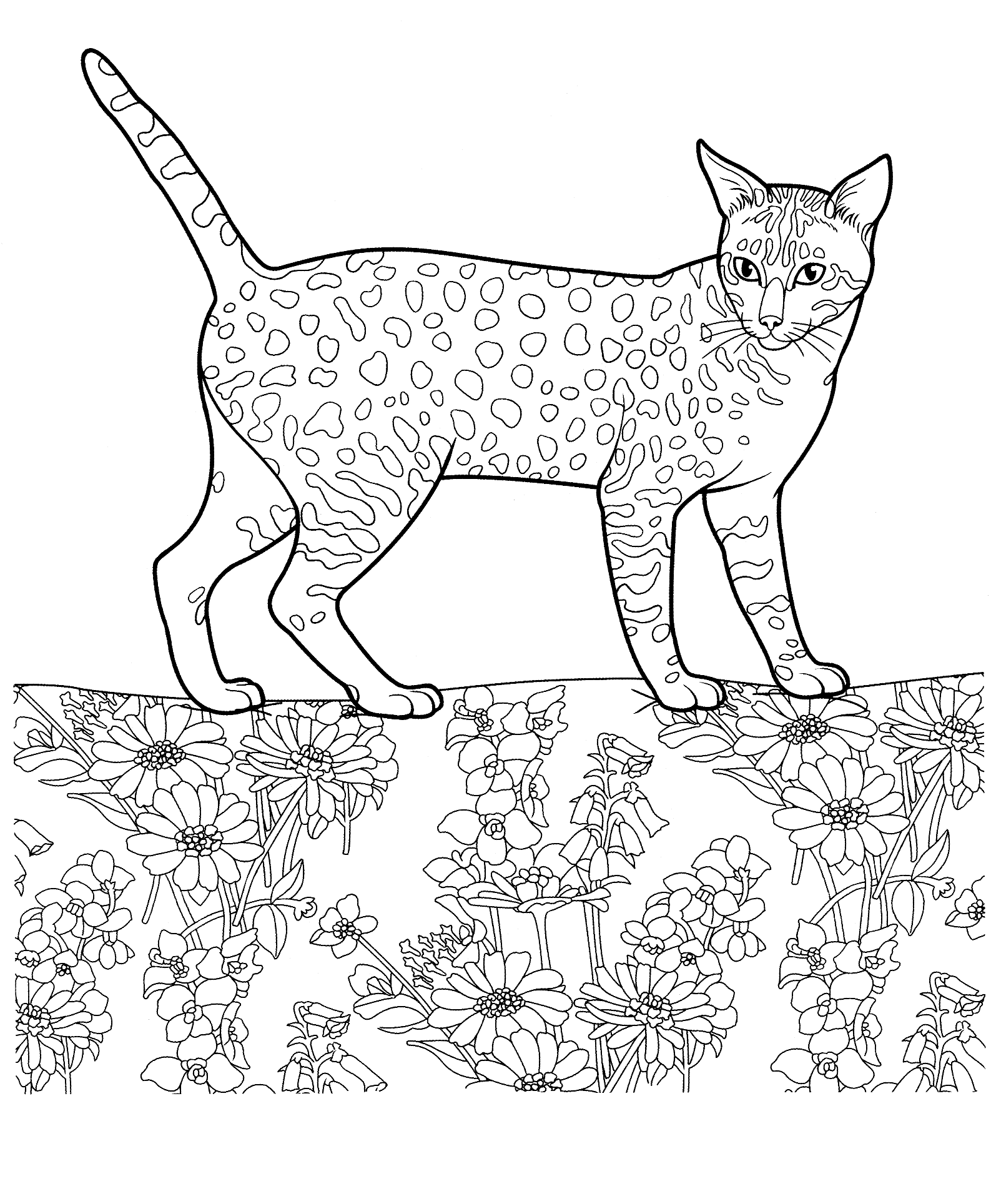 Kolorowanka kot w cętki stoi na łące wśród kwiatów